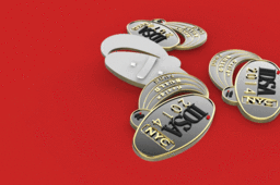 IDSA 2014 DM LAPEL PIN