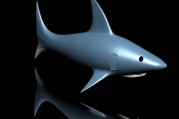 Shark