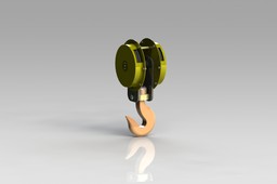 Crane hook