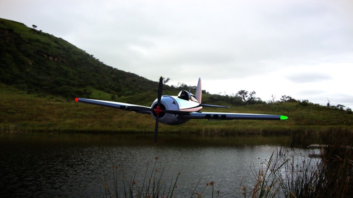 P-47 look a like