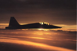 T-38 Talon