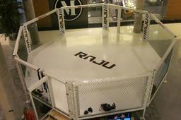 MMA Cage