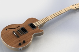 Les Paul Custom Project