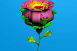 my Rose