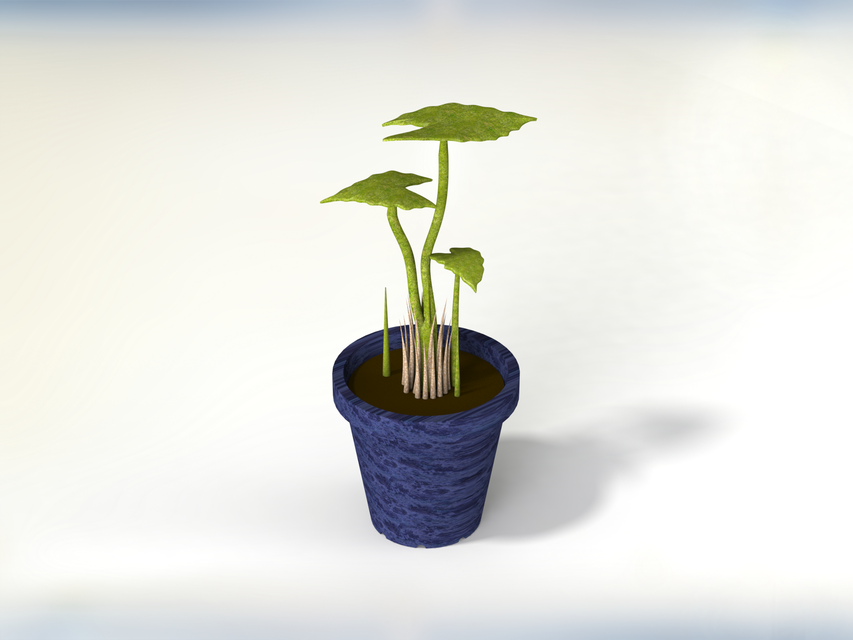 Pot w/ or w/out Plant