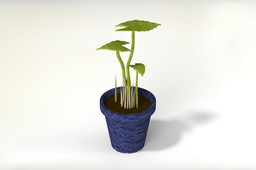 Pot w/ or w/out Plant