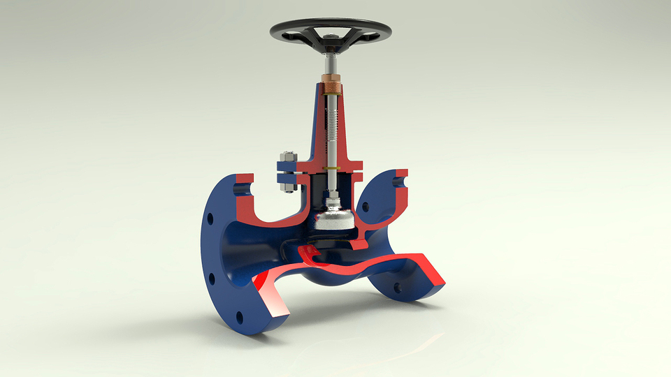 Globe valve