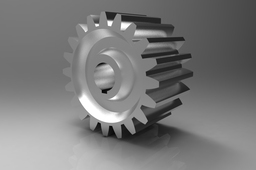 Spur gear