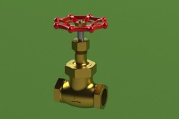 Valve globe 1"