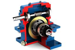 Worm Gear