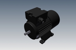 Electric Motor