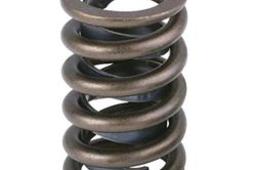 Ford Chevy Dual Valve Spring