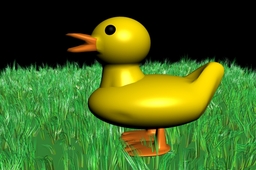 simple Duck