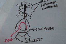 EGGYROCOPTER