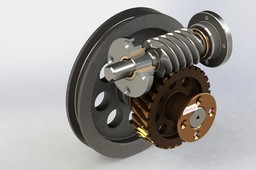 Worm gear