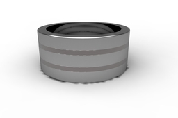 Titanium ring with insert