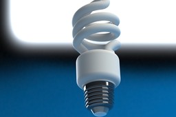 Fluorescent Light Bulb