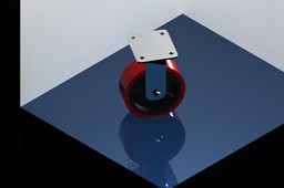Fixed Castor