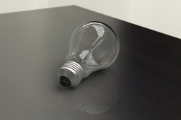 Bulb