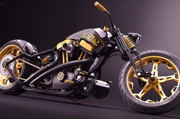 GoldSter - Custom bike project