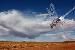 Dragon Fly Wood Craft Puzzle