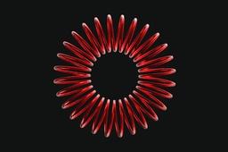 circular helical spring