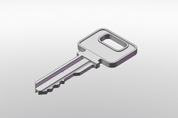 Door key