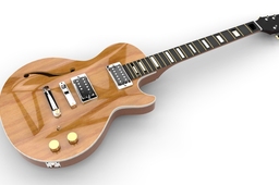 Les Paul Custom Project