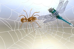 The "Trapped Dragonfly" 3d puzzle, Dragonfly, 3d model, puzzle, sheetmetal
