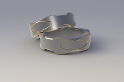 Ti ring for Scott 2