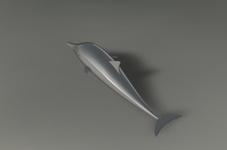 Dolphin