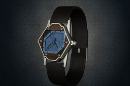 Watch concept