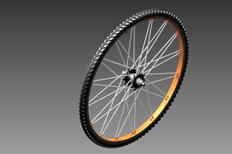 Bicycle Tire