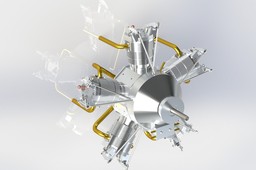 Forest Edwards Radial 5