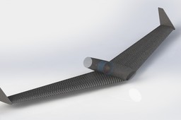 Flying Wing