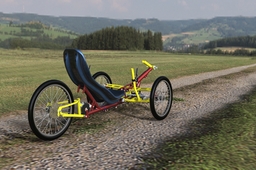 Steintrikes Mungo recumbent trike