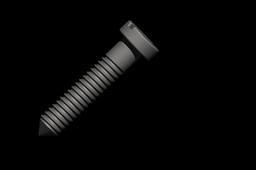 Screw