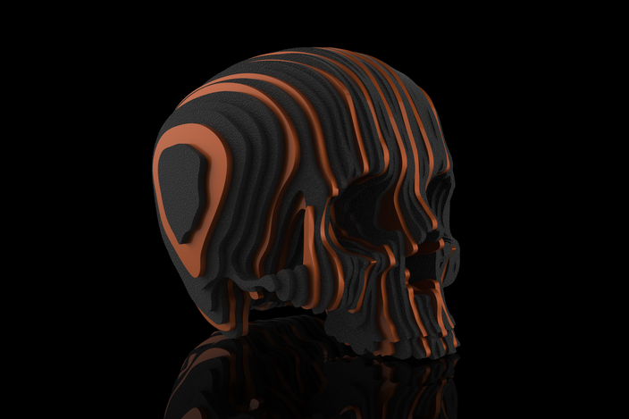 Solid Part Skull