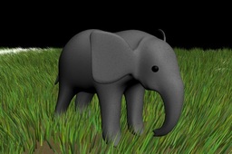 baby elephant