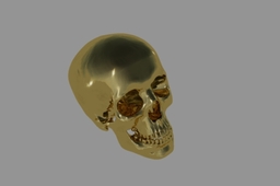 Skull 1