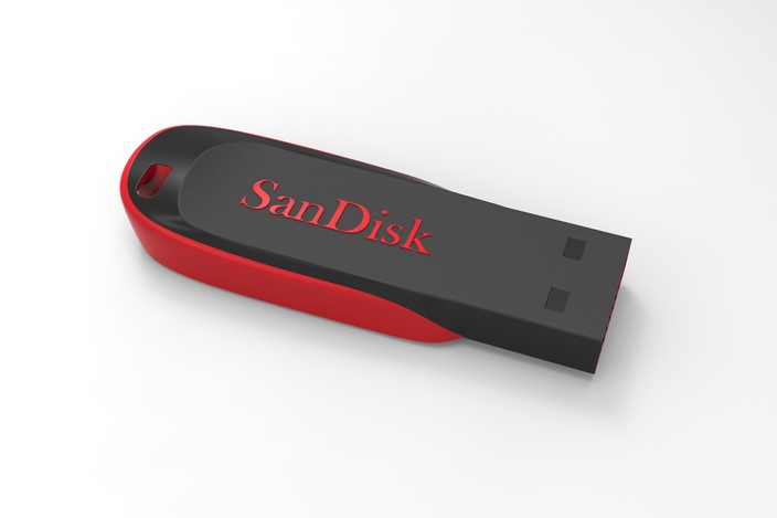 SanDisk Cruzer Blade 4GB Usb Stick