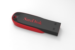 SanDisk Cruzer Blade 4GB Usb Stick