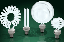 Compact fluorescent light bulbs - CFLs