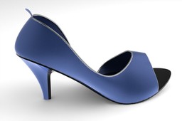 ladies shoe