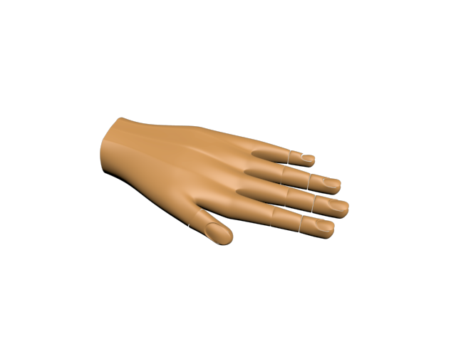 hand