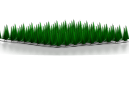Fir tree