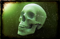 3-parts Anatomical Skull Model