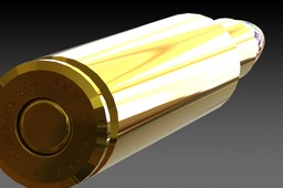 6mm Remington Cartridge 