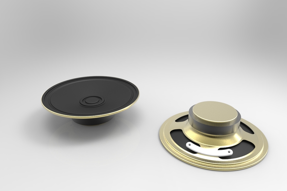 Speaker
