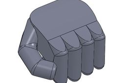Fist